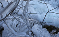 Život na sjeve&hellip;