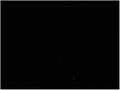 Orion