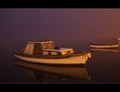 foggy morning 3