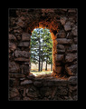 inside looking&hellip;