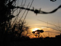 sunce je srce &hellip;