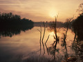 Totalne reflek&hellip;