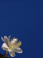Izgubljen u ve&hellip;