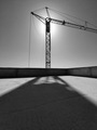 Crane Silhouet&hellip;