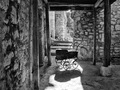 Abandoned Chil&hellip;