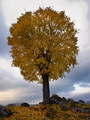 the Colors of &hellip;