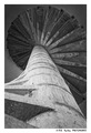 Concrete Mushr&hellip;