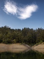 Heart Forrest &hellip;