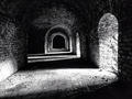 Hiding in the &hellip;