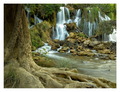 Kravice - behi&hellip;