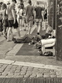 Life of the St&hellip;