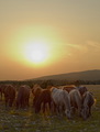 Na zalasku sun&hellip;