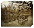 Old Bench by t&hellip;