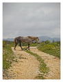 On the Road Ag&hellip;