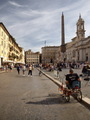 Roma - Pink Fl&hellip;