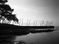 Savudrian Land&hellip;