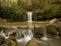 Gologorica Fal&hellip;