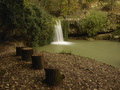 Gologorica Fal&hellip;