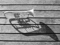 Trumpet Left A&hellip;