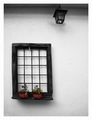 Two Red Flower&hellip;