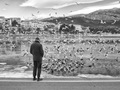 Winter Gull Ma&hellip;