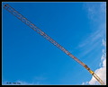 Yellow Crane