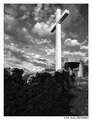 White Cross