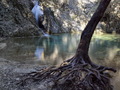 the Lost Roots&hellip;
