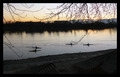 iskoristi pril&hellip;