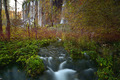 Plitvice u jes&hellip;
