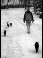 a sad kući pje&hellip;