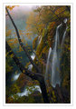Plitvice, 2012.