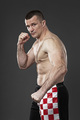 Mirko Filipovi&hellip;