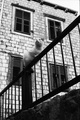 ispred 4 prozo&hellip;
