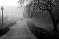 Jutarnja šetnj&hellip;