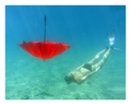 seadrops keep &hellip;