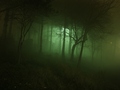 Weird light in&hellip;