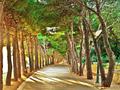 walk on the wi&hellip;