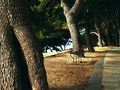 come away with&hellip;