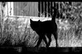 curiosity kill&hellip;