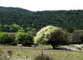 polovnjaca vol&hellip;