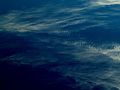 sea of love vo&hellip;
