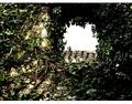looking from t&hellip;