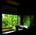 world outside &hellip;