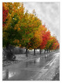 Autumn Interlu&hellip;