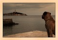 ...pogled u da&hellip;