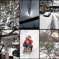 Bračka kartoli&hellip;