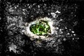 Heart Of Stone&hellip;