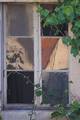 Old Windows - &hellip;