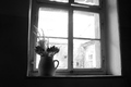 prozor u dvori&hellip;